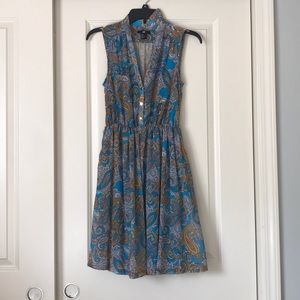 Collared knee length dress